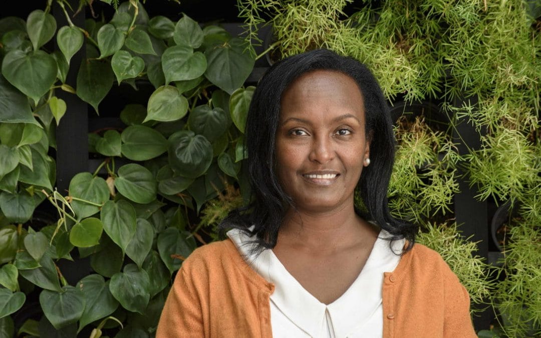 Why does global inequality in education persist?